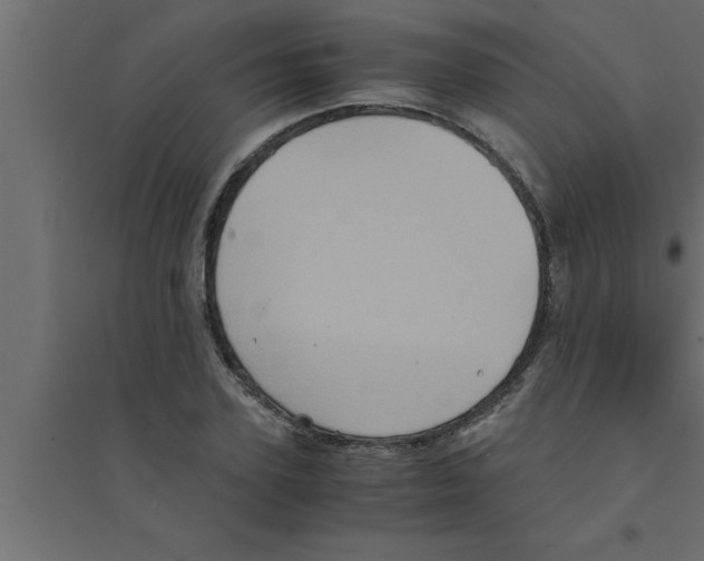 X0000094220931200711241718