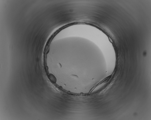 X0000094220932200711241718