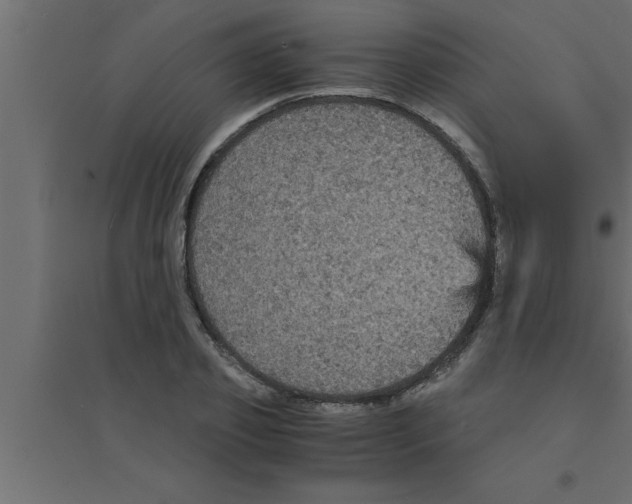 X0000094220933200711241718