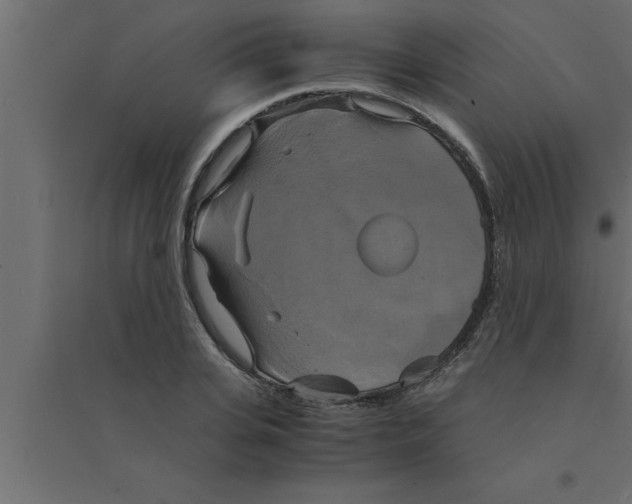 X0000094220935200711241718