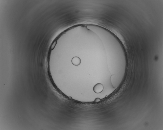 X0000094220936200711241718