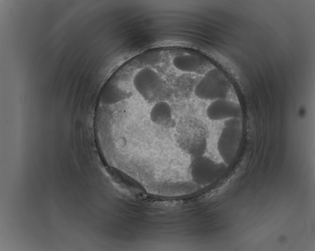 X0000094220937200711241718