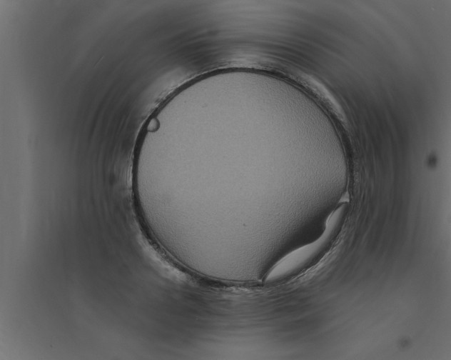 X0000094220938200711241718