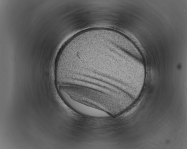 X0000094220939200711241718