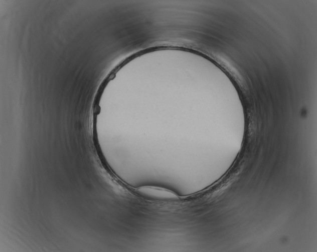 X0000094220940200711241718