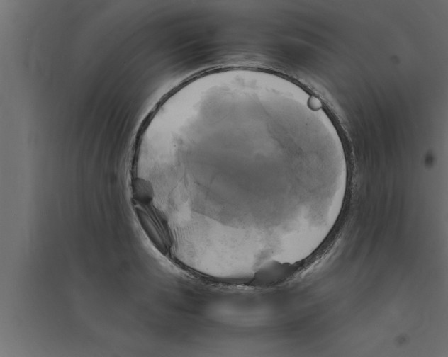 X0000094220941200711241718