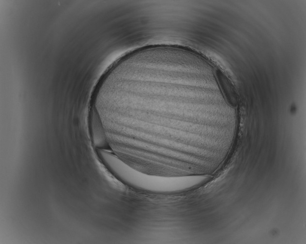 X0000094220942200711241718