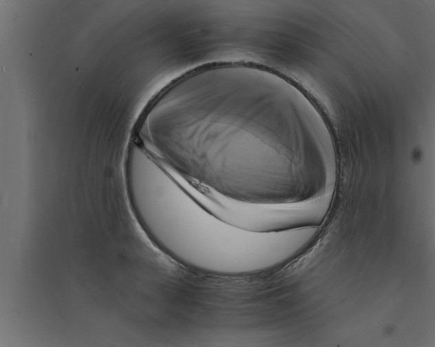 X0000094220943200711241718