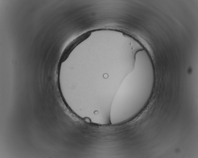 X0000094220944200711241718