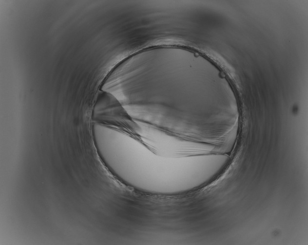 X0000094220945200711241718