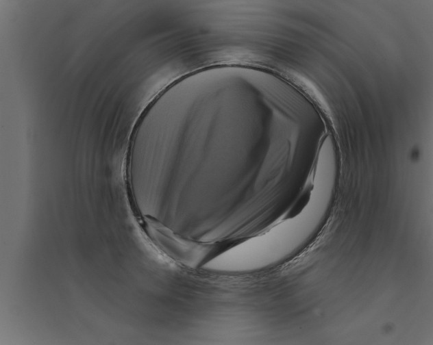 X0000094220946200711241718