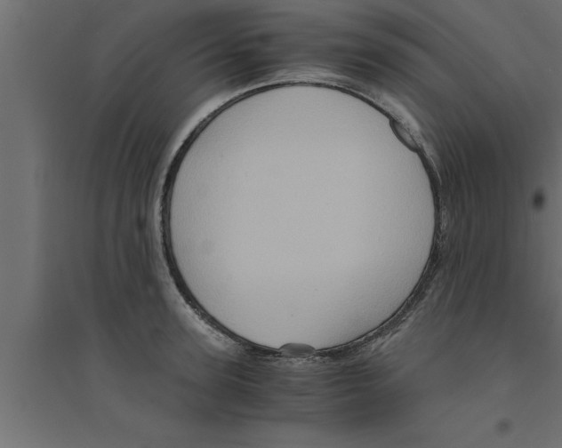 X0000094220947200711241718