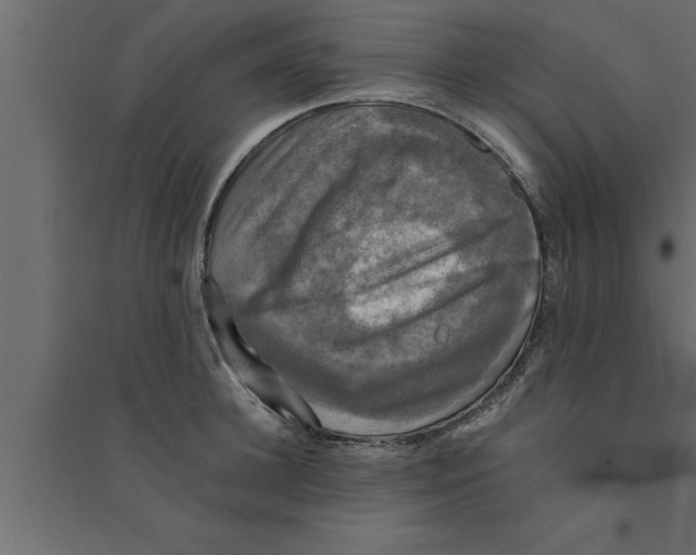 X0000094220948200711241718