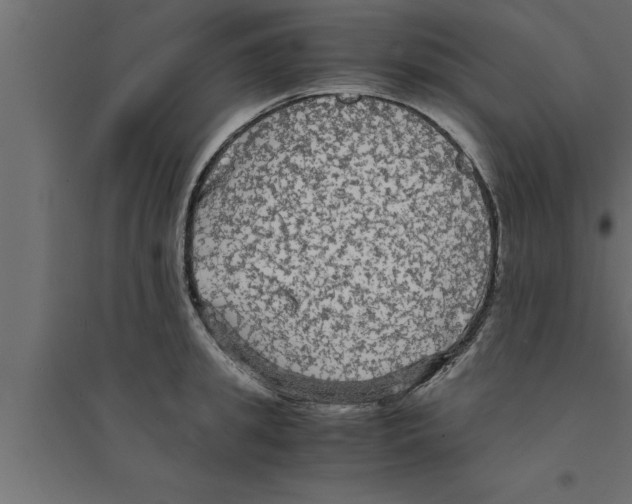 X0000094220949200711241718