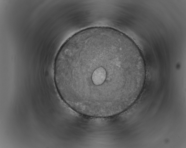 X0000094220950200711241718