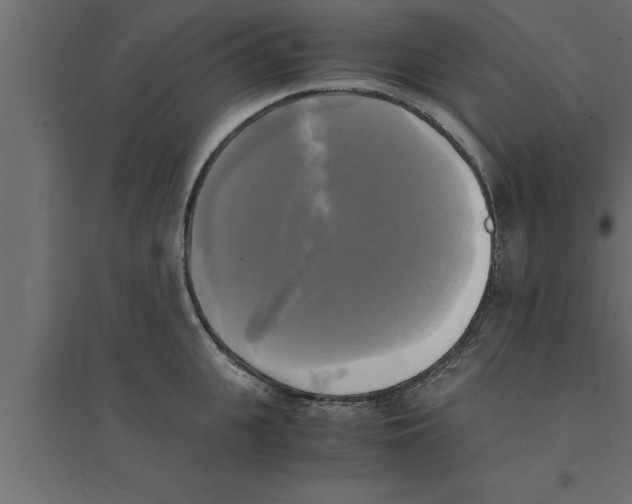 X0000094220951200711241718