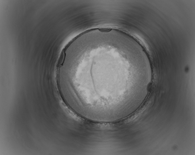 X0000094220952200711241718