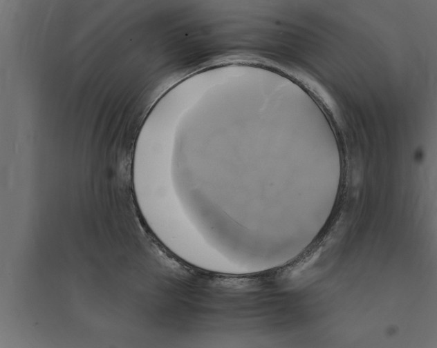 X0000094220953200711241718