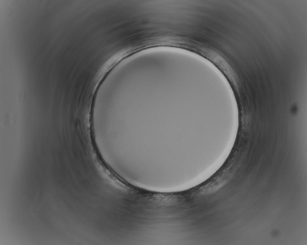 X0000094220954200711241718