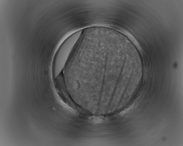 X0000094220955200711241718