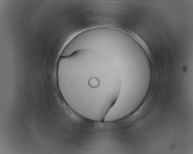 X0000094220956200711241718