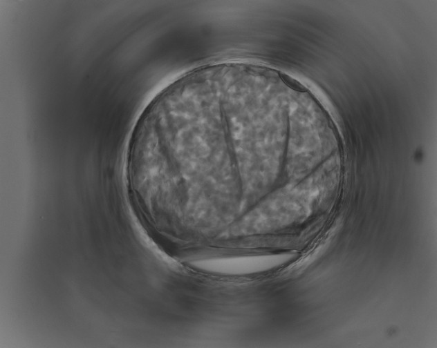 X0000094220957200711241718