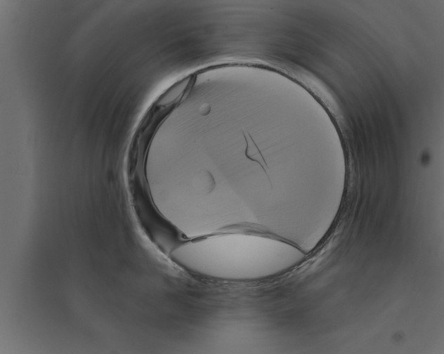 X0000094220958200711241718