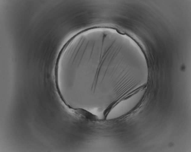 X0000094220959200711241718