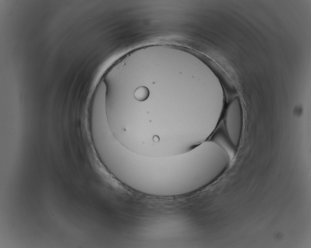 X0000094220960200711241719