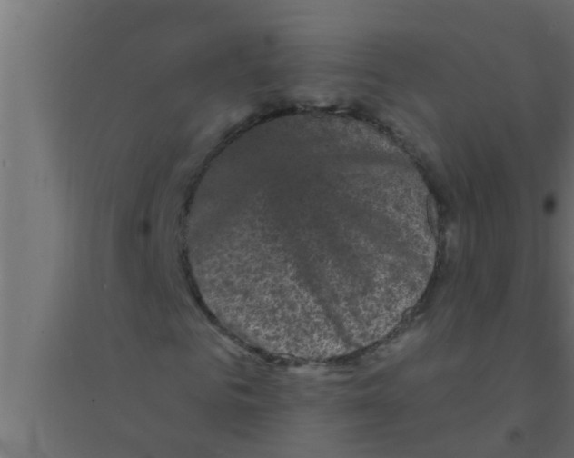 X0000094220961200711241718