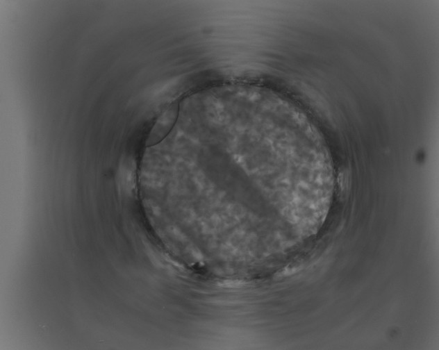 X0000094220963200711241718