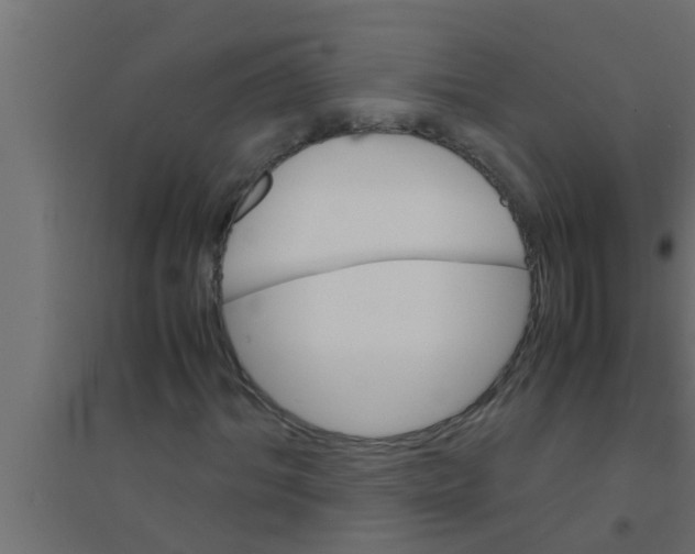 X0000094220964200711241718