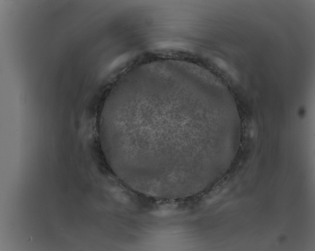 X0000094220965200711241718