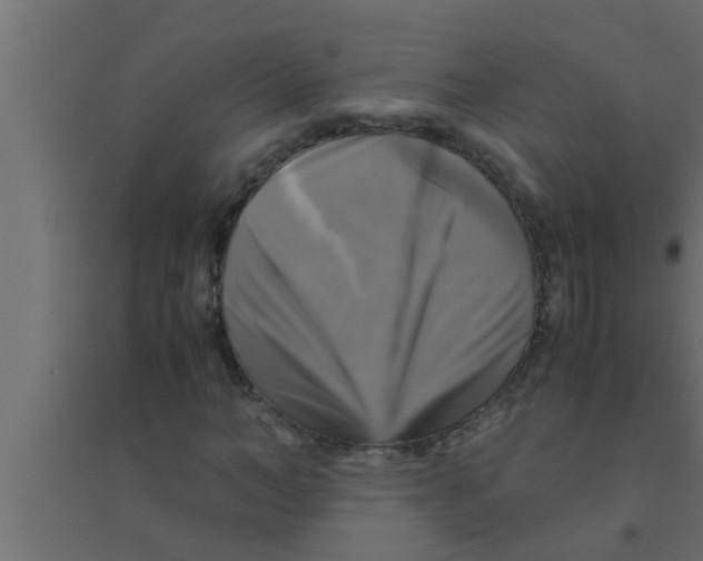 X0000094220966200711241718