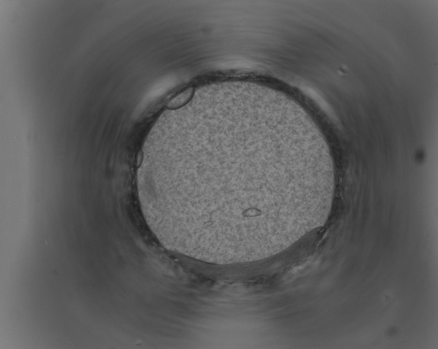 X0000094220967200711241718