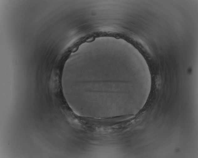 X0000094220968200711241718