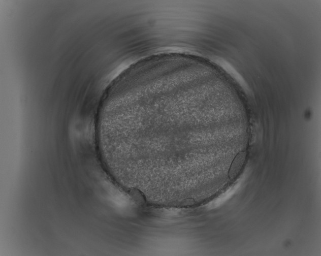 X0000094220969200711241718