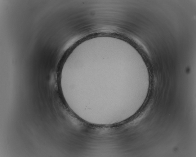 X0000094220970200711241718