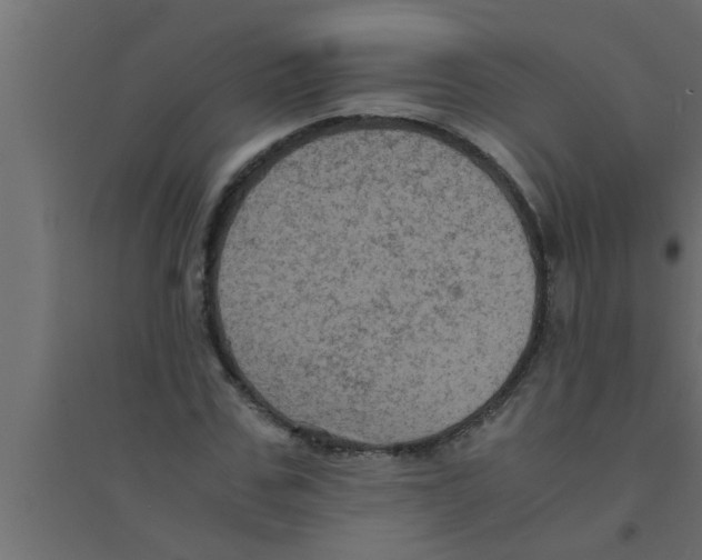 X0000094220971200711241718