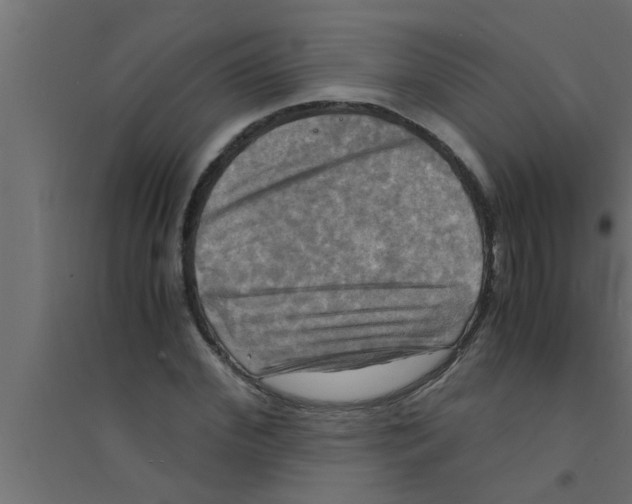 X0000094220972200711241718