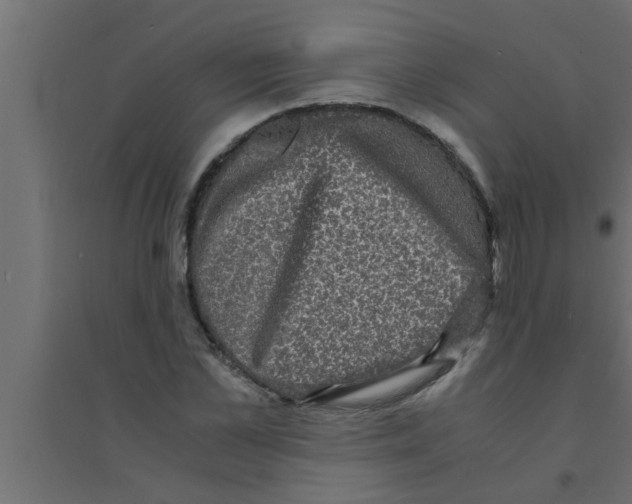 X0000094220973200711241718