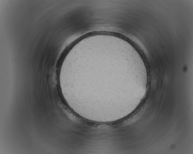 X0000094220974200711241718