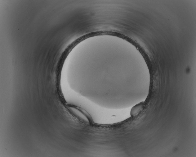 X0000094220975200711241718