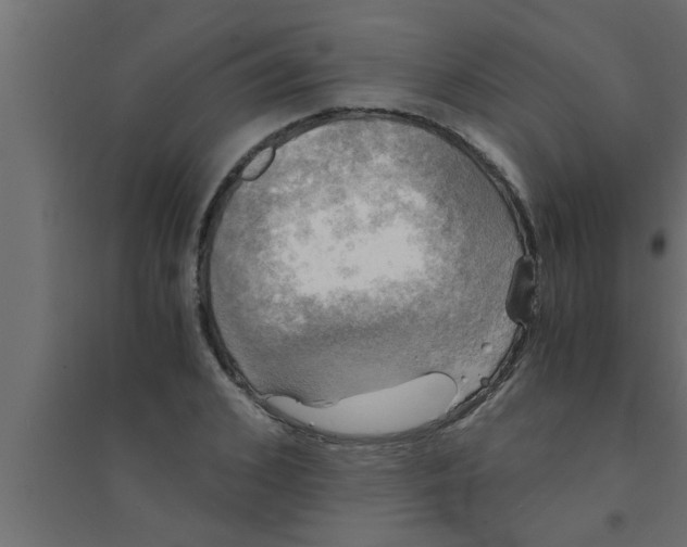 X0000094220976200711241718