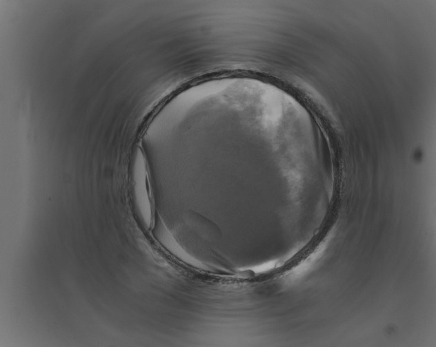 X0000094220977200711241718