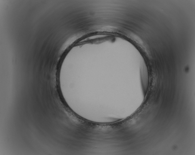 X0000094220978200711241718