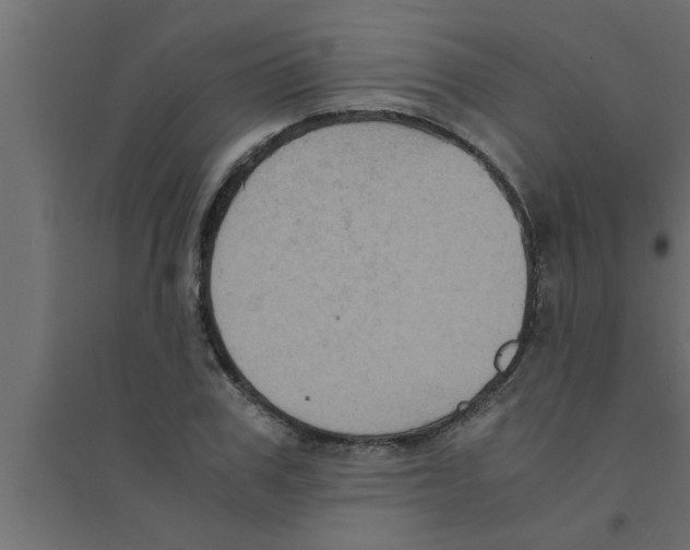 X0000094220979200711241718