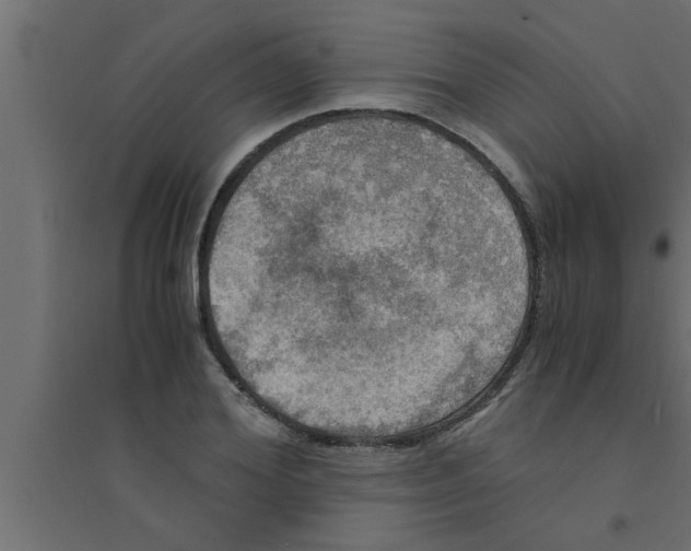 X0000094220980200711241718