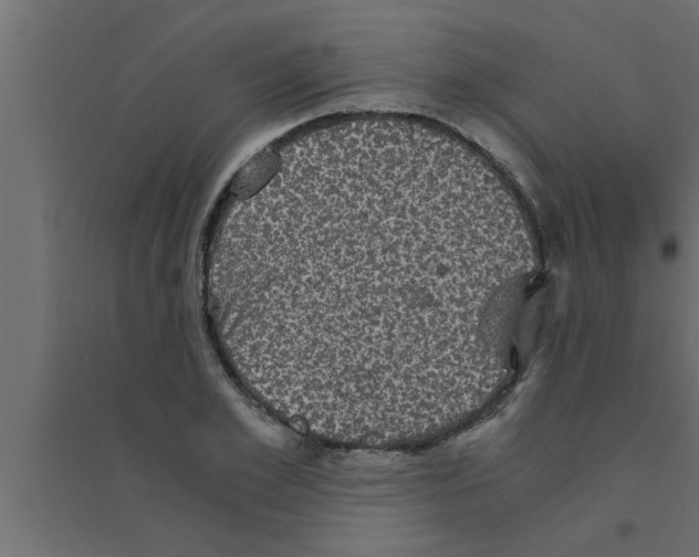 X0000094220981200711241718