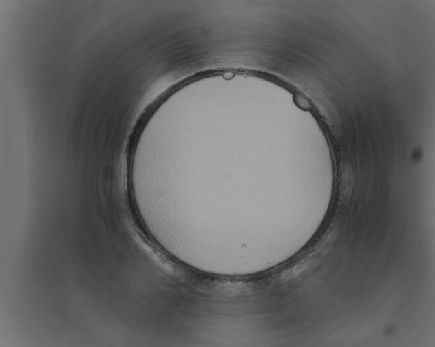 X0000094220982200711241718